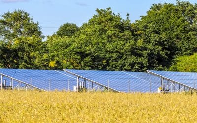 Expanding While Staying True to Our Values